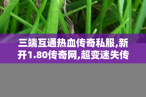 三端互通热血传奇私服,新开1.80传奇网,超变迷失传奇单职业，经典重现，传奇再启