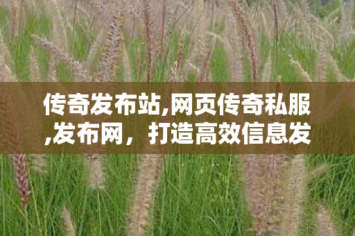 传奇发布站,网页传奇私服,发布网，打造高效信息发布平台，助力企业与个人实现信息传播