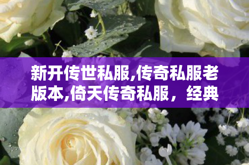 新开传世私服,传奇私服老版本,倚天传奇私服，经典游戏体验的深度探索与解析