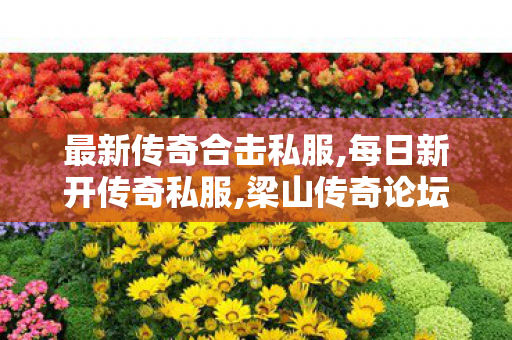 最新传奇合击私服,每日新开传奇私服,梁山传奇论坛，经典游戏交流的聚集地