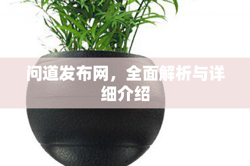 问道发布网，全面解析与详细介绍