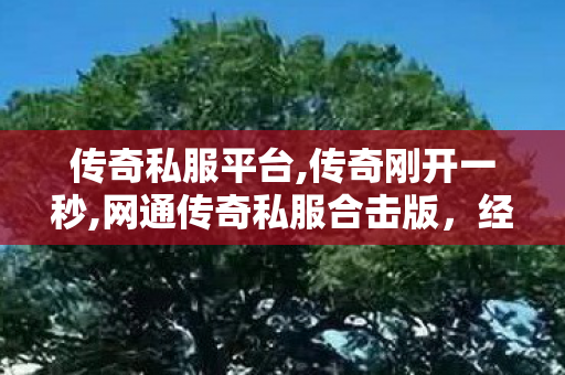 传奇私服平台,传奇刚开一秒,网通传奇私服合击版，经典重现，热血再燃