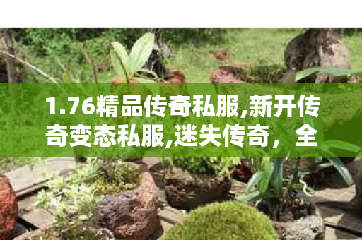 1.76精品传奇私服,新开传奇变态私服,迷失传奇，全新篇章，重温经典，探索无尽冒险之旅