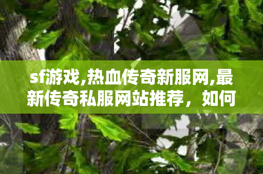 sf游戏,热血传奇新服网,最新传奇私服网站推荐，如何选择安全可靠的私服平台？