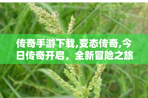 传奇手游下载,变态传奇,今日传奇开启，全新冒险之旅，探索未知的神秘世界