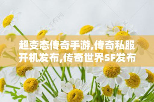 超变态传奇手游,传奇私服开机发布,传奇世界SF发布网，经典游戏体验的全新篇章