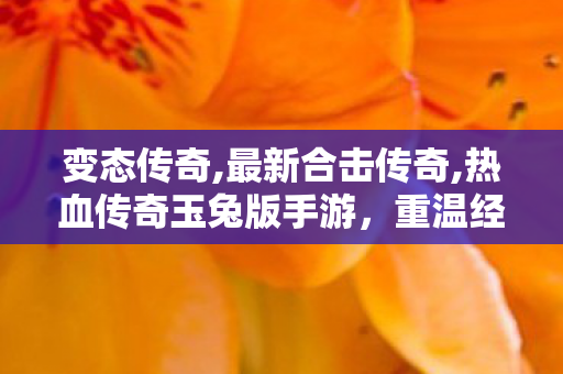 变态传奇,最新合击传奇,热血传奇玉兔版手游，重温经典，再战传奇世界