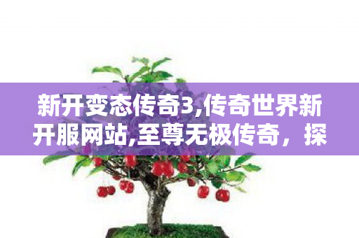 新开变态传奇3,传奇世界新开服网站,至尊无极传奇，探寻无尽荣耀与传奇历程