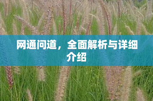 网通问道，全面解析与详细介绍