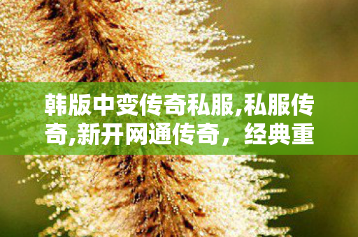 韩版中变传奇私服,私服传奇,新开网通传奇，经典重现，热血再燃