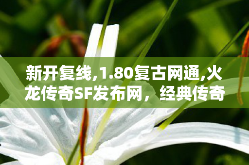 新开复线,1.80复古网通,火龙传奇SF发布网，经典传奇游戏，重燃热血征战之旅