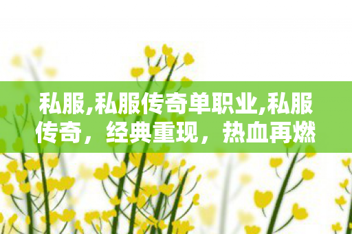 私服,私服传奇单职业,私服传奇，经典重现，热血再燃