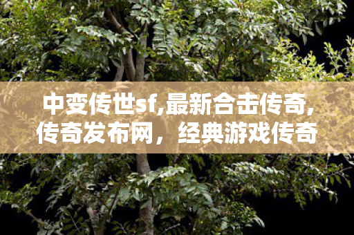 中变传世sf,最新合击传奇,传奇发布网，经典游戏传奇的官方发布平台与玩家指南