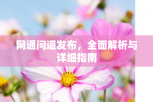 网通问道发布，全面解析与详细指南