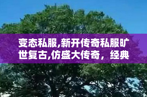 变态私服,新开传奇私服旷世复古,仿盛大传奇，经典游戏的重现与深度解析