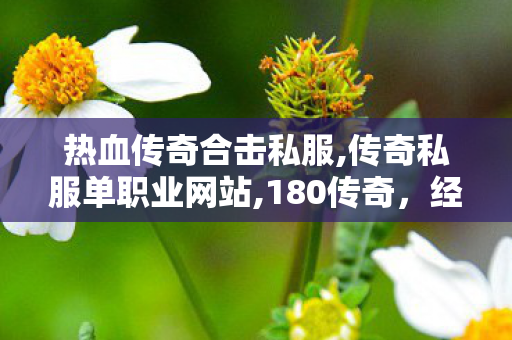 热血传奇合击私服,传奇私服单职业网站,180传奇，经典重现，热血传奇再续