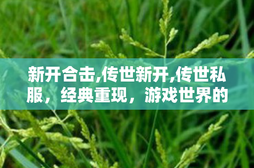 新开合击,传世新开,传世私服，经典重现，游戏世界的永恒传奇