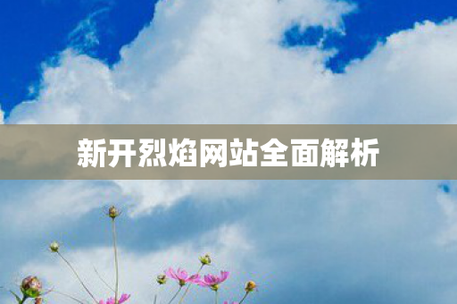 新开烈焰网站全面解析