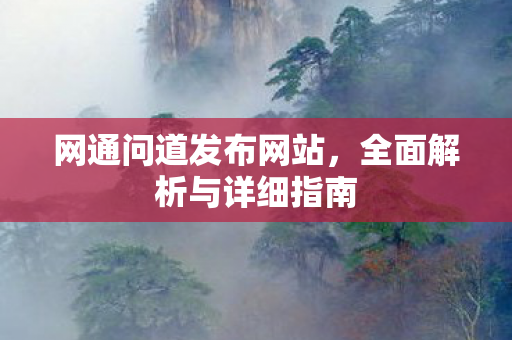 网通问道发布网站，全面解析与详细指南