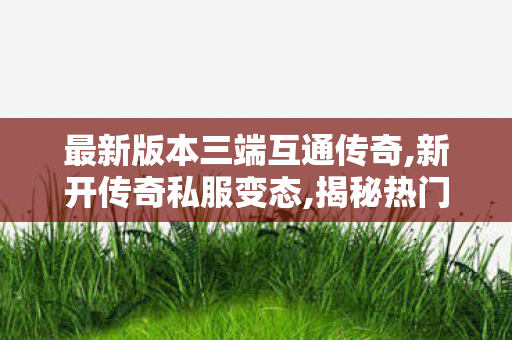 最新版本三端互通传奇,新开传奇私服变态,揭秘热门SF题材，深度解析与全面探索