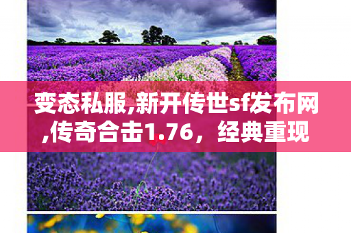 变态私服,新开传世sf发布网,传奇合击1.76，经典重现，热血传奇再续