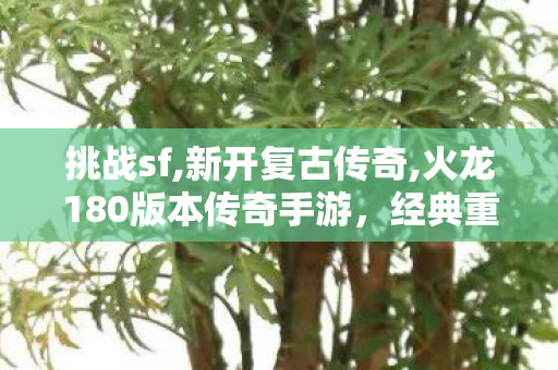 挑战sf,新开复古传奇,火龙180版本传奇手游，经典重现，热血再燃