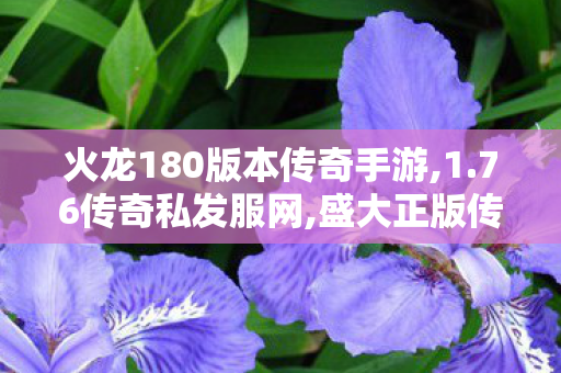 火龙180版本传奇手游,1.76传奇私发服网,盛大正版传奇手游，经典再现，热血重燃