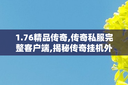 1.76精品传奇,传奇私服完整客户端,揭秘传奇挂机外挂，游戏辅助工具的利与弊