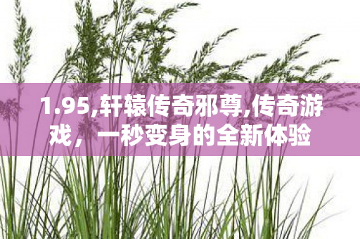 1.95,轩辕传奇邪尊,传奇游戏，一秒变身的全新体验