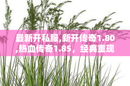 最新开私服,新开传奇1.80,热血传奇1.85，经典重现，传奇之路再启程