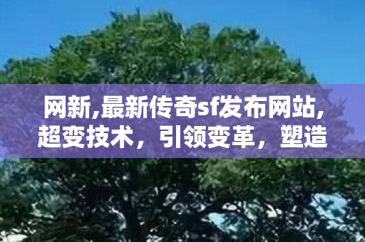 网新,最新传奇sf发布网站,超变技术，引领变革，塑造未来