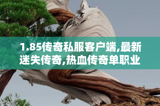 1.85传奇私服客户端,最新迷失传奇,热血传奇单职业，经典传奇游戏，一战到底的热血传奇