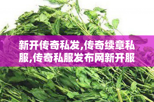 新开传奇私发,传奇续章私服,传奇私服发布网新开服盛大开启，玩家畅享热血传奇！