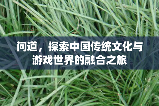 问道，探索中国传统文化与游戏世界的融合之旅