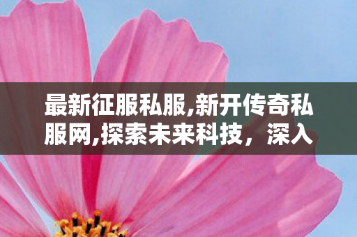 最新征服私服,新开传奇私服网,探索未来科技，深入解析优质SF的创作与价值
