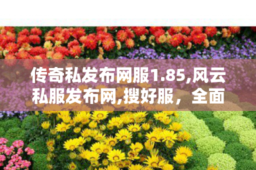 传奇私发布网服1.85,风云私服发布网,搜好服，全面解析与SEO优化策略