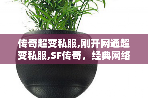 传奇超变私服,刚开网通超变私服,SF传奇，经典网络游戏的辉煌岁月