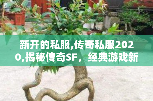 新开的私服,传奇私服2020,揭秘传奇SF，经典游戏新体验的深度解析