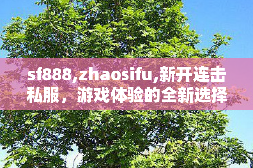 sf888,zhaosifu,新开连击私服，游戏体验的全新选择