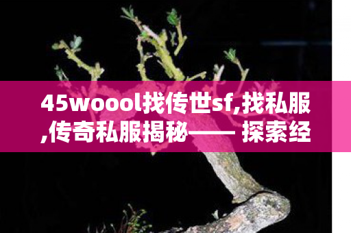 45woool找传世sf,找私服,传奇私服揭秘—— 探索经典游戏的不凡魅力