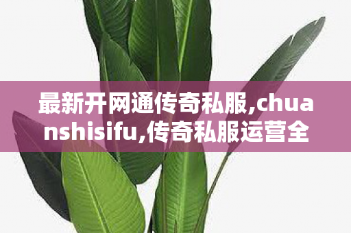 最新开网通传奇私服,chuanshisifu,传奇私服运营全解析，从搭建到推广的全方位指南