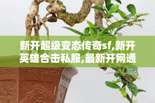 新开超级变态传奇sf,新开英雄合击私服,最新开网通传奇私服——全面解析与详细介绍