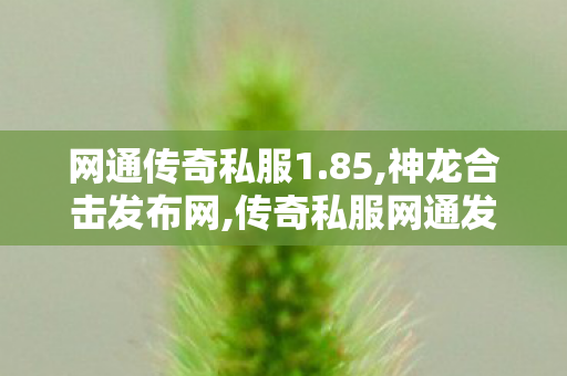网通传奇私服1.85,神龙合击发布网,传奇私服网通发布网，游戏传奇的私服体验与1分析