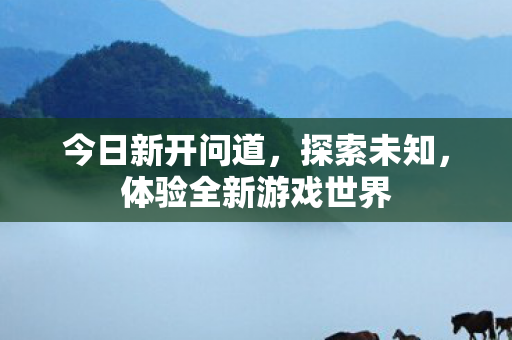 今日新开问道，探索未知，体验全新游戏世界