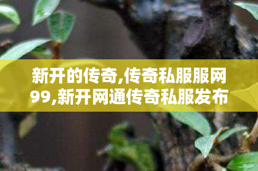 新开的传奇,传奇私服服网99,新开网通传奇私服发布网——安全、稳定、畅玩无阻的私服游戏平台