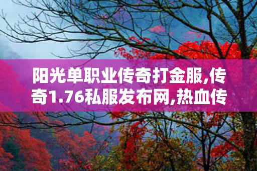 阳光单职业传奇打金服,传奇1.76私服发布网,热血传奇SF新开服，重燃激情，再战沙城