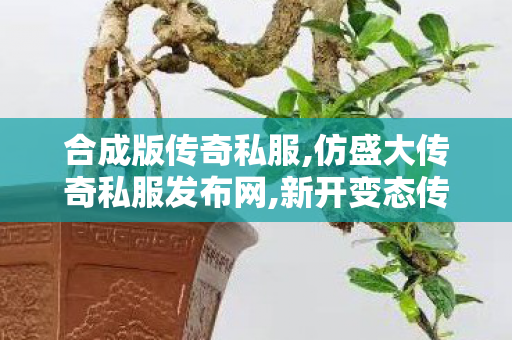 合成版传奇私服,仿盛大传奇私服发布网,新开变态传奇世界私服，全面解析与详细介绍