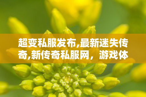 超变私服发布,最新迷失传奇,新传奇私服网，游戏体验新篇章，安全畅游攻略