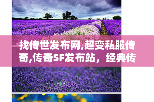 找传世发布网,超变私服传奇,传奇SF发布站，经典传奇游戏，重温热血传奇之旅