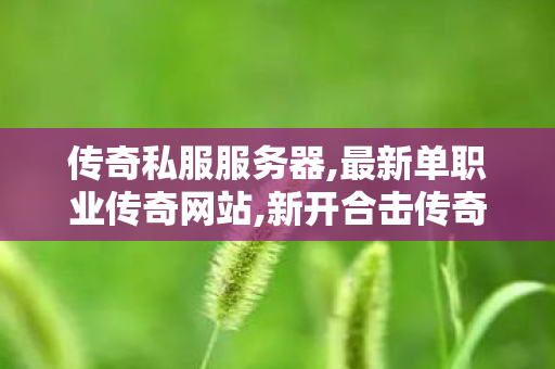 传奇私服服务器,最新单职业传奇网站,新开合击传奇私服网，游戏私服的1与1责任